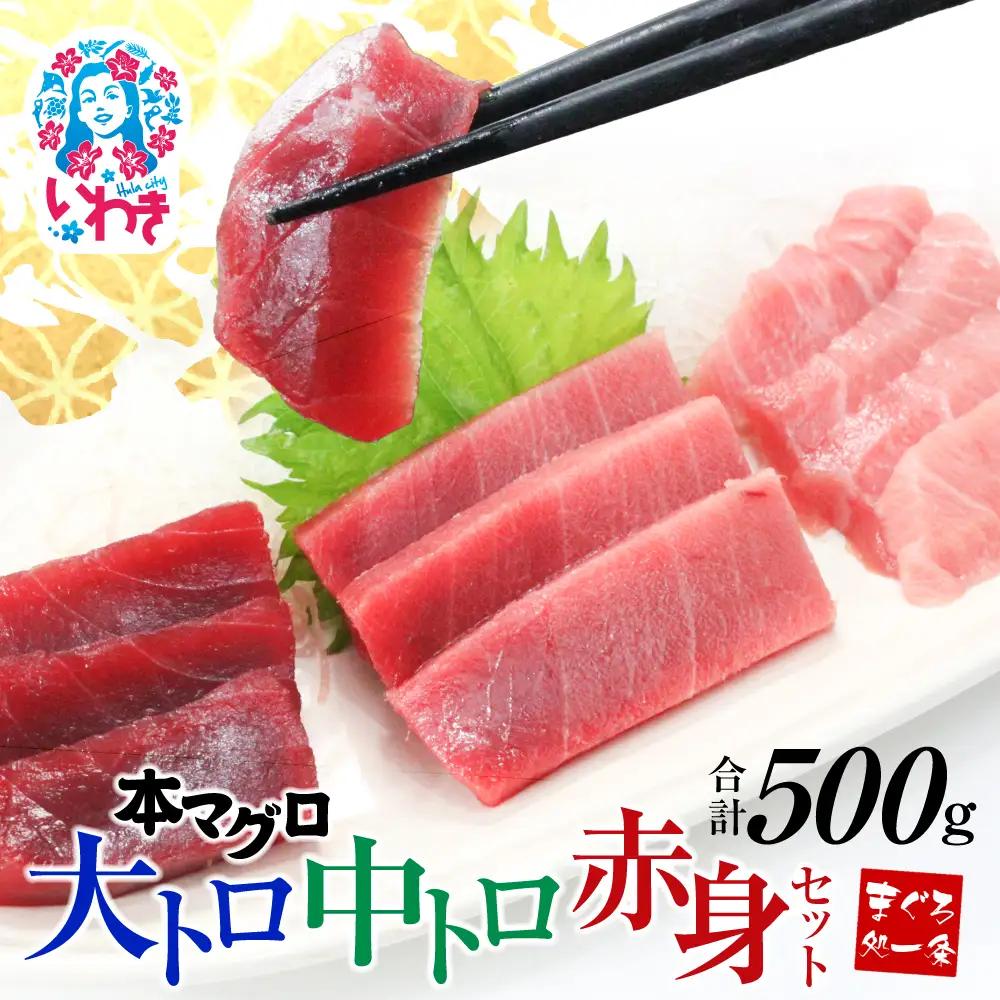 本マグロ大トロ中トロ赤身セット500g まぐろ