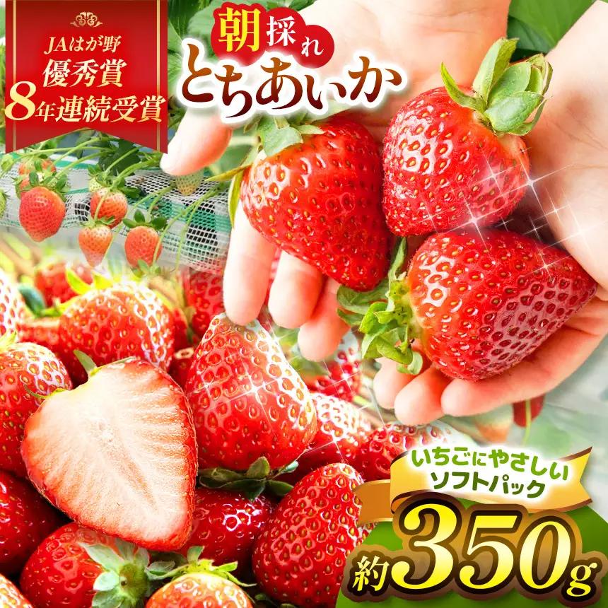【2027年 先行予約】朝採れいちご とちあいか 350g ソフトパック