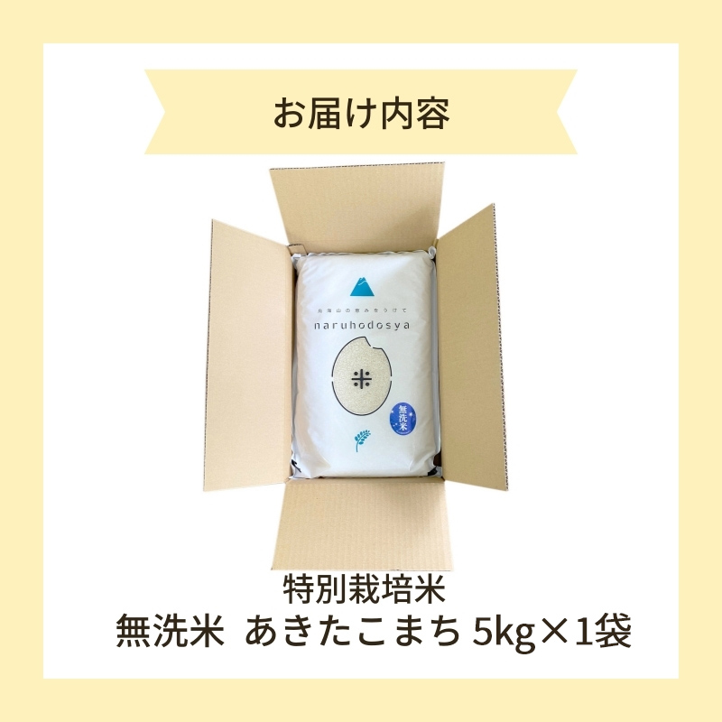 新米予約【無洗米】特別栽培米あきたこまち5kg×1 令和7年産 秋田県 にかほ市 お米 米 こめ