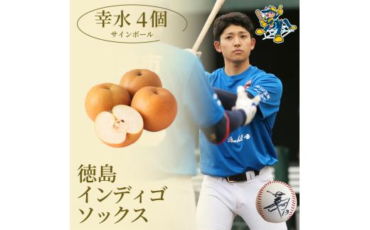 【幸水4玉 サインボール】 先行予約 徳島 インディゴソックス コラボ 梨 グッズ セット 《2025年8月下旬～順次発送》 果物 フルーツ 野球 四国アイランドリーグ 阿波市