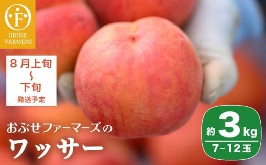 ワッサー 約3kg 7～12玉 ［おぶせファーマーズ］果物 フルーツ クール便 冷蔵便 長野県産 信州産 令和8年産【2026年8月上旬～下旬発送】［F-39］