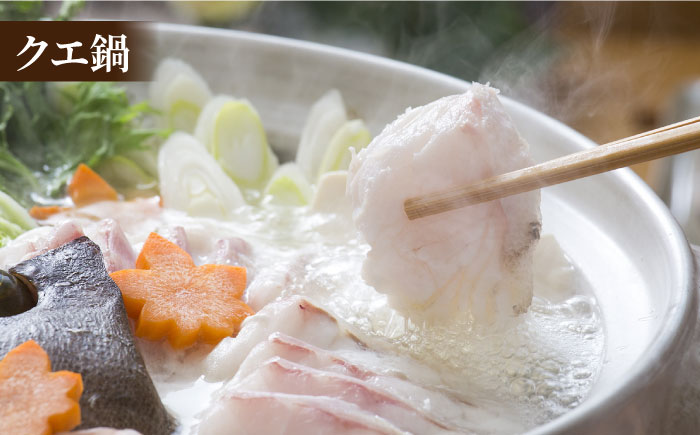 【幻の超高級魚をご家庭で】 養殖 クエ まるごと 1.5kg×2尾 鮮魚 魚介類 【豊建設株式会社】 [RAE003]