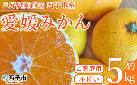 ＜愛媛みかん 家庭用（不揃い）箱込約5kg＞ 果物 フルーツ 温州みかん うんしゅうみかん ウンシュウミカン みかん ミカン 蜜柑 オレンジ 柑橘 自宅用 訳あり 産地直送 三好農園 西宇和 愛媛県 西予市【常温】『2025年11月中旬～2026年1月中旬迄に順次出荷予定』MMN0016