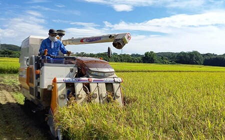 〈先行予約 2025年産米〉【米の定期便】福島県鏡石町産 和田農園「天のつぶ」玄米10kg 6か月連続  F6Q-209