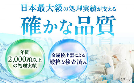 猪肉 ミンチ 3kg 雲仙いのしし / ひき肉 肉 イノシシ ジビエ いのしし ハンバーグ / 南島原市 / 株式会社髙田牧場[SDB014]