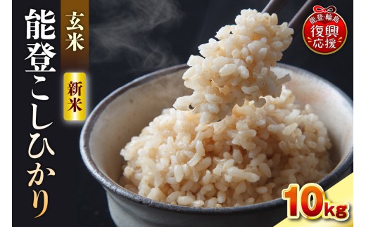 【2026年11月発送】令和8年産 能登コシヒカリ 10kg（玄米／残留農薬ゼロ） wa084-005-r8-11
