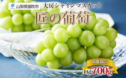 
            ＜25年発送先行予約＞露地山梨県産 シャインマスカット 1房約700g程度 177-012
          