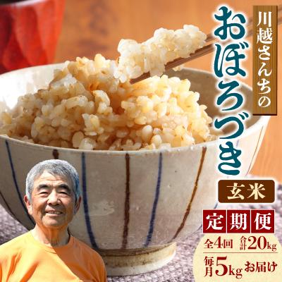 ふるさと納税 雨竜町 【定期便全4回】令和7年産 川越さんちの おぼろづき 玄米 5kg(5kg×1袋)毎月1回お届け