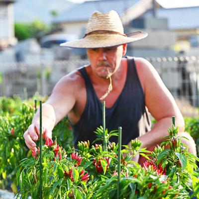 ふるさと納税 糸島市 いとネロ ホットソース (ミニ) 50ml×1本 糸島市 [ACR004] |  | 02