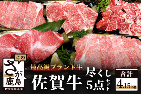 【5種のお肉】佐賀牛バラエティセット 合計4.15kg ヒレステーキ サーロインステーキ すき焼き しゃぶしゃぶ サイコロステーキ V-9