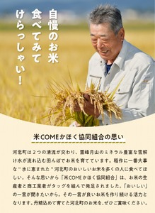 【令和6年産米】2025年2月上旬発送 こしひかり 10kg（5kg×2袋）山形県産 【米COMEかほく協同組合】　（コシヒカリ 白米 ブランド米 精米 米どころ 米 山形 2024年産 山形県 河北