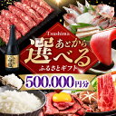 【ふるさと納税】【あとから選べる】対馬市ふるさとギフト 50万円 分 《対馬市》 離島 米 肉 魚介 海鮮 木工品 常温 冷蔵 冷凍[WZZ020]