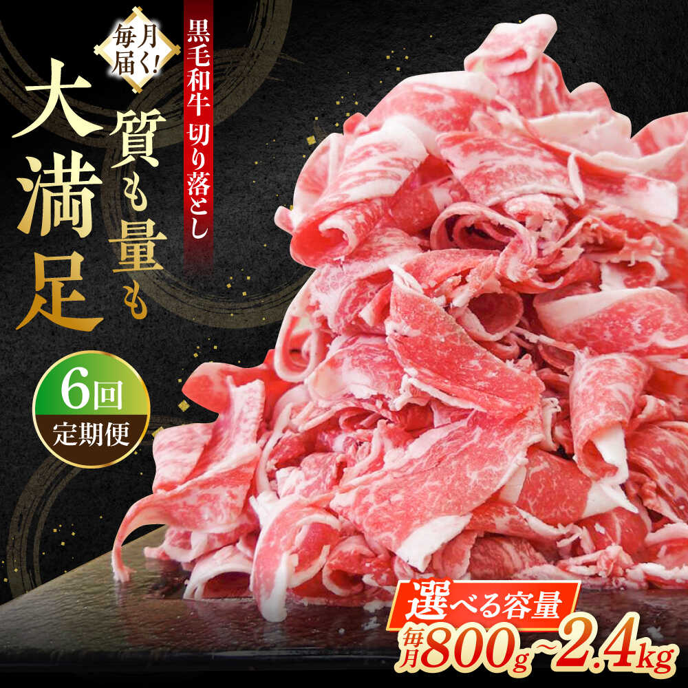 【ふるさと納税】【全6回定期便】牧場直営店の黒毛和牛 切り落とし 〈選べる容量！〉800g(2P)・1.2kg(3P)・2.4kg(6P)【川崎畜産】国産 和牛 牛肉 人気 ランキング おすすめ すき焼き しゃぶしゃぶ 冷凍 定期 佐賀県 白石町 白石 [IAX018]