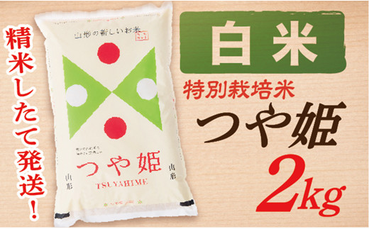 【令和6年産】【白米】山形県産つや姫 2kg