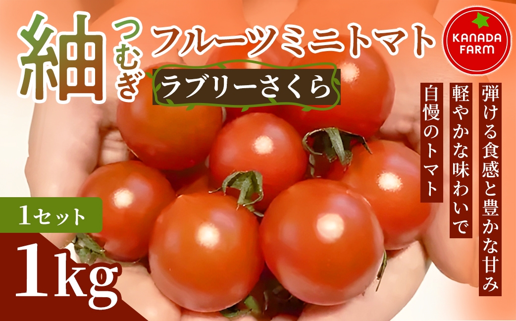 
                  《先行予約》紬（つむぎ）フルーツミニトマト（ラブリーさくら）1kg 1セット 3セット 定期便 甘い野菜 デザート感覚 おやつ スイーツ感覚 サラダ用 そのまま食べる 旬 家庭用 贈り物 日々の食卓 お取り寄せ 産地直送 愛知県 豊橋市
                
