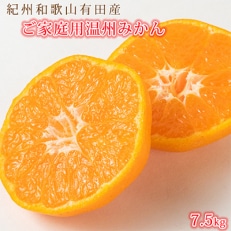 【発送月固定定期便】紀州和歌山産旬のご家庭用柑橘セット(みかん・不知火・レモン)全3回