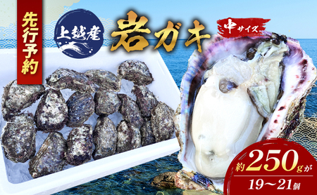 【先行予約】上越産天然岩ガキ　中サイズ（約220～250g）19～21個 海産物　2025年7月中旬以降順次発送