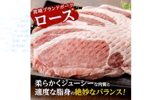 宮崎ブランドポーク ローストンテキ・とんかつ用カット 500g【 九州産 豚 ぶた 肉 ロース とんかつ トンテキ おうちごはん おうち時間 】[E11301]