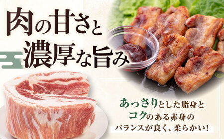 【全12回定期便】三元豚 バラブロック600g《喜茂別町》【平田牧場】 肉 豚肉 バラ ブロック 煮豚 酢豚 煮物 冷凍配送[AJAP105]