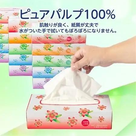クラリスボックスティッシュ60箱(1箱220組(440枚))(5個入り×12セット)【配送不可地域：離島・沖縄県】【1256759】