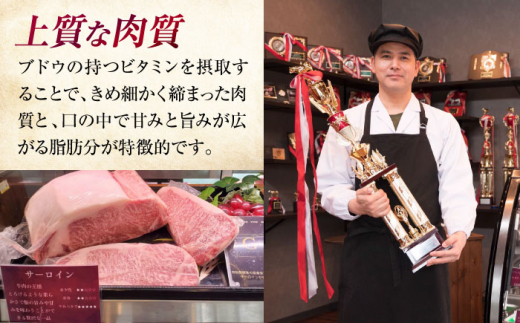 三次ワインビーフ 肩ロース すき焼き用 500g 三次市/三次ワインビーフ みーとのば [APAX007]