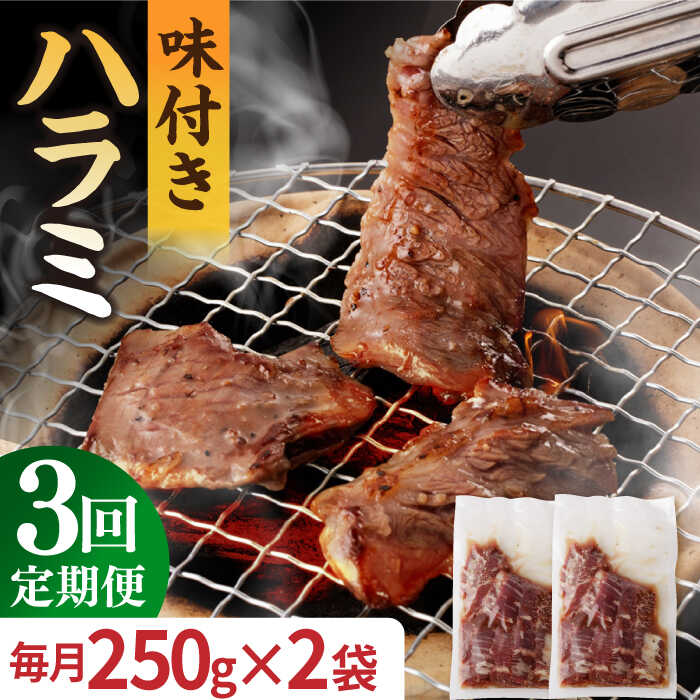 【ふるさと納税】【3回定期便】【塩だれ】九州産和牛 ハラミ 毎月250g×2袋（計1.5kg） 長与町/岩永ホルモン [EAX159] 定期便 ていきびん ハラミ はらみ 国産 肉 牛 和牛 牛肉 牛ハラミ 小分け 味付き 焼肉 BBQ 冷凍 九州 味付け 塩だれ 簡単調理 送料無料 長崎