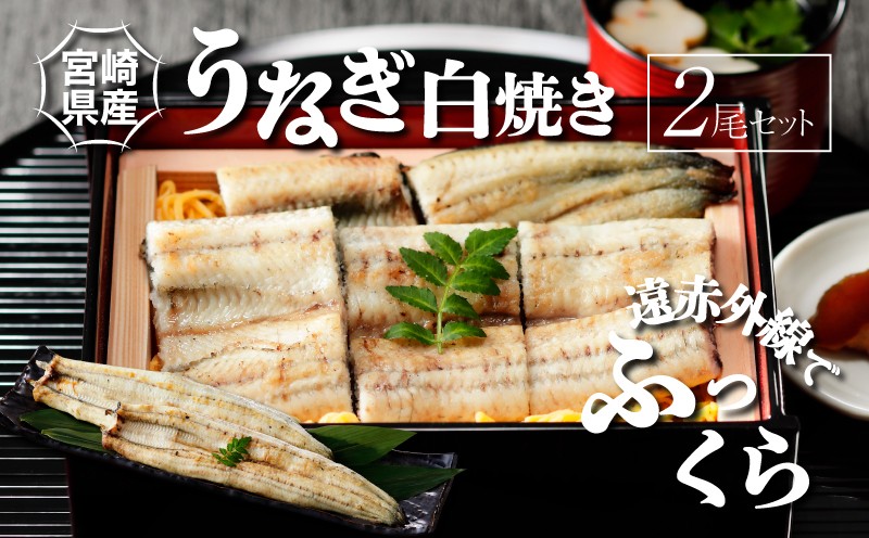
                  宮崎県産うなぎ白焼き 2尾 セット - 鰻 白焼き 国産 素焼き 塩/わさび/抹茶塩/わさび醤油 酒のつまみ おつまみ 肴 うなぎの蒲焼き/ひつまぶし うな丼 うな重 鰻重 鰻丼 鰻巻き 惣菜 タレ別添え K10_0006_3 
                