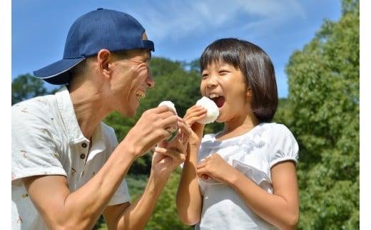 【令和7年年米】長野県産『一等米』信州 南アルプス 大地の恵コシヒカリ２０ｋｇ