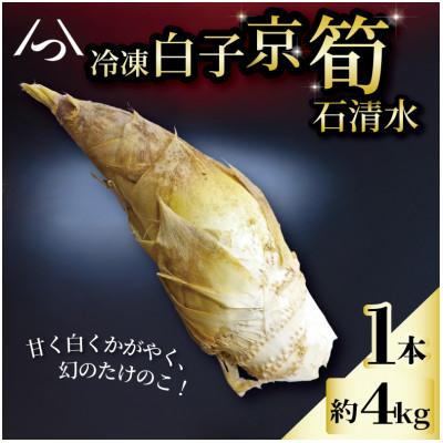 ふるさと納税 八幡市 京都府八幡市産 白子京筍 石清水 1本 約4kg 冷凍