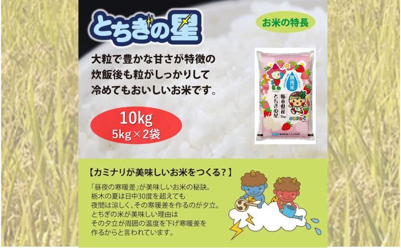 栃木県鹿沼市産 とちぎの星 無洗米 10kg（5kg×2袋） 令和6年産 水稲うるち精米 単一原料米 お米  特A 大粒