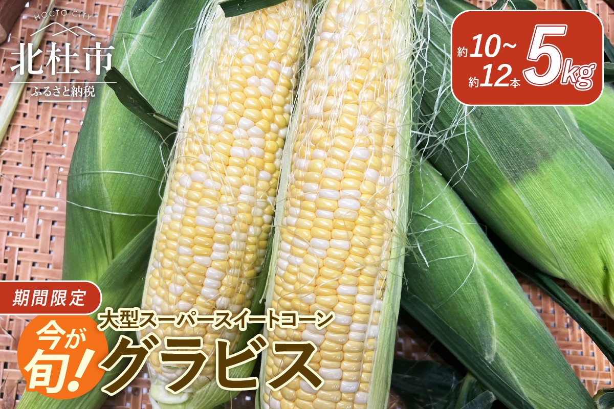 
            【2025年先行予約】今が旬！茅ヶ岳高原 粒ぞろいよし 大型スーパースイートコーン《グラビス》　とうもろこし  5kg 約10本～12本入り 茅ヶ岳高原 夏野菜 旬 トウモロコシ やわらかい 甘い コーン 2025年 発送 期間限定 数量限定 山梨県 北杜市
          