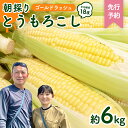 【ふるさと納税】【先行予約 令和7年 6月下旬 以降発送 】 朝採り とうもろこし （ ゴールドラッシュ ） 約 6kg トウモロコシ スイートコーン コーン 野菜 産地直送 期間限定 極甘