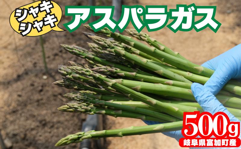 【10102】アスパラガス 500g