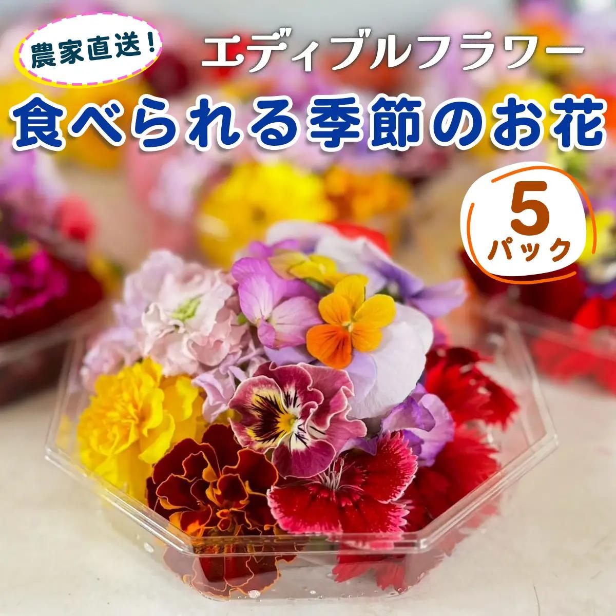 農家直送！加藤さんちのエディブルフラワー 5パック (1パックあたり季節のお花15輪から30輪)｜食用 花 お花 野菜 トッピング 付け合わせ [0764]