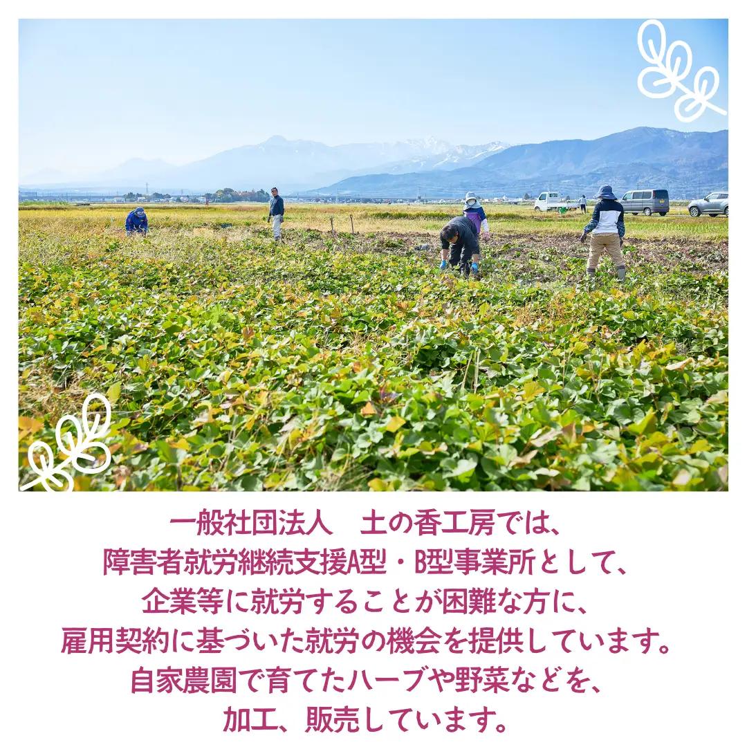 しそジュース 赤しそ シロップ 濃縮 400g 2袋 セット 3倍希釈 手作り 紫蘇ジュース 紫蘇 赤紫蘇 赤シソ しそ 着色料不使用 保存料不使用 国産 新潟県 上越市
