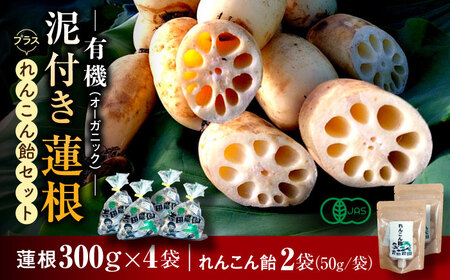 【先行予約】有機（オーガニック）泥付き蓮根 計1.2kg（300g×4袋）とれんこん飴2袋セット / れんこん れんこん れんこん れんこん れんこん れんこん れんこん / 佐賀県 / 吉田農園 [41AHAE002]