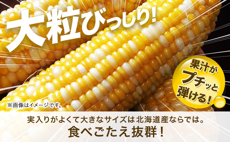 極甘とうもろこし ピーターコーン 20本 特大サイズ(1本380g以上) 高橋賢三《8月上旬-9月中旬頃出荷》 送料無料 北海道 本別町 北海道 十勝 本別町産 極甘 特大 とうもろこし バイカラー 