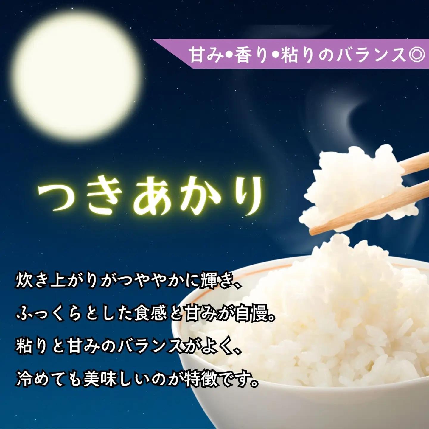 【新米予約】《定期便》＼ 2026年12月より10kg 6回 ／コシヒカリ 木内ファーム