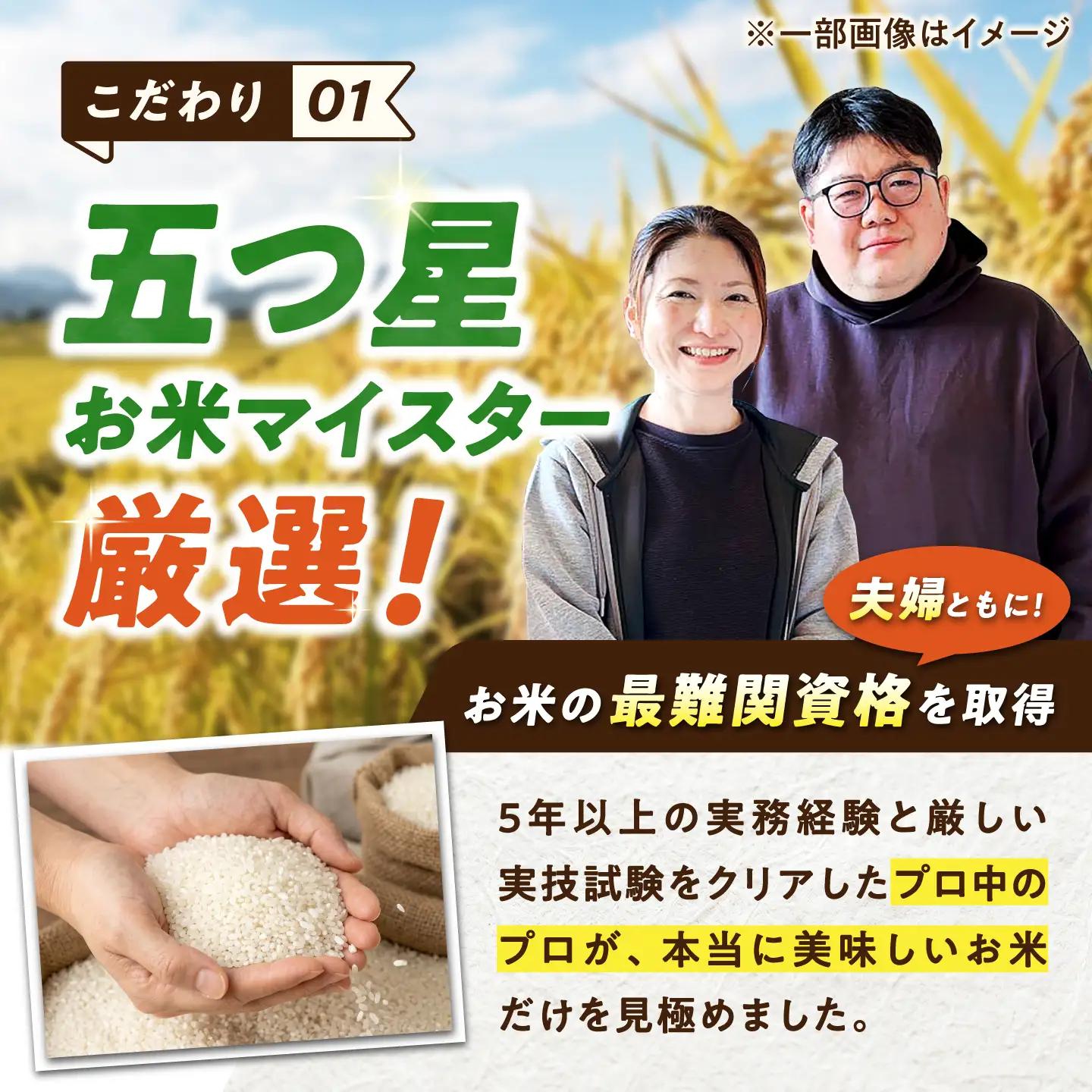 無洗米 さがびより 5kg（5kg×1袋） 無洗米 お米 白米 精米 佐賀県産 米 /大塚米穀店[UFE001]