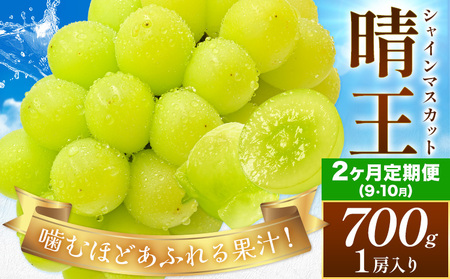 【発送先行予約】【2ヶ月定期便】ぶどう シャインマスカット 晴王 約700g(1房入り)×2ヶ月定期便 満天フルーツ《9月上旬-10月末頃出荷》岡山県 浅口市 マスカット フルーツ 果物 お取り寄せフルーツ 贈り物 ギフト 岡山県産【配送不可地域あり】