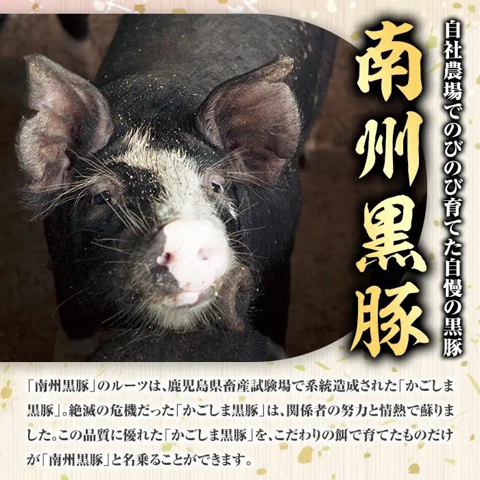 南州農場黒豚ロース味噌漬(計500g・100g×5P) 鹿児島 国産 九州産 黒豚 豚肉 お肉 ロース 味噌漬け 焼肉【南州農場(株)高山ミートセンター】A03005