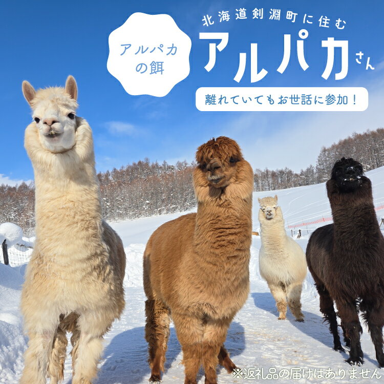 【ふるさと納税】アルパカのエサ [ビバカンパニー 北海道 剣淵町 14656231]