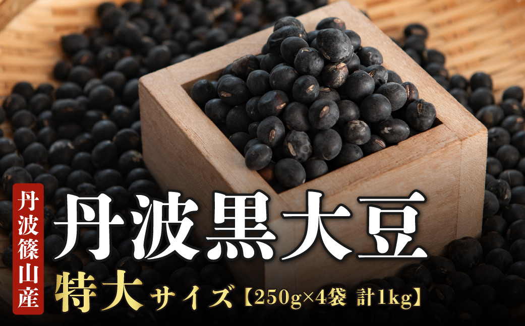 
            【新物　令和7年産】丹波篠山産 丹波黒大豆　特大サイズ
          