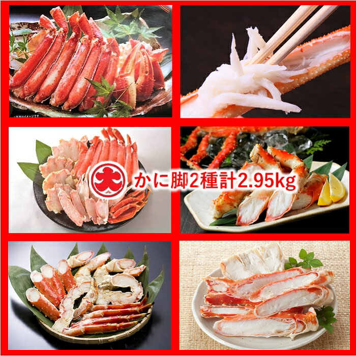 【ふるさと納税】 かに 脚 2 種 ( 計 2.95kg ) ズワイガニ ズワイ ずわい ズワイ蟹 ずわい蟹 カニ 蟹 たらば タラバ タラバガニ たらばがに たらば蟹 タラバ蟹 グルメ 海鮮 ボイル 茹で蟹 茹でがに 茹でガニ 北海道 根室市 E-01008