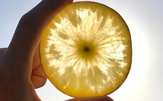 家庭用 有機農薬使用・完全無肥料栽培「サン蜜こうとく」葉とらずりんご約2kg（6～8玉） F7X-0475