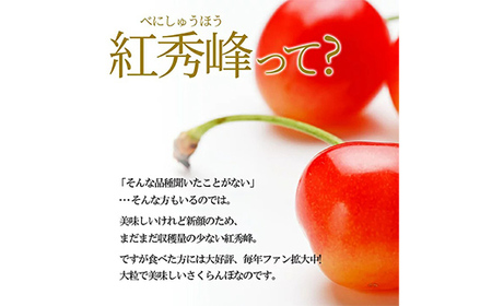 【令和7年産 先行予約】山形県産さくらんぼ 紅秀峰 特秀 2L玉 300g 鏡詰め 桐箱入り FSY-1093