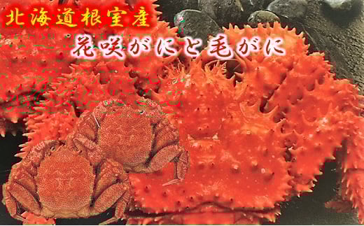 D-01017 【北海道根室産】花咲がにと毛がに2尾