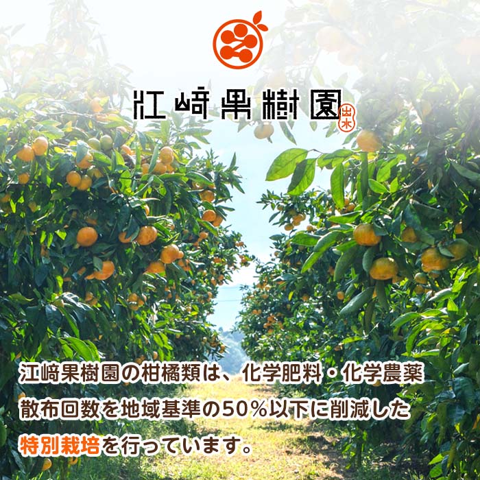 i982-A 温州みかんゼリー・晩柑ピール 贅沢ゼリー 2種セット(計6個) 【江崎果樹園】