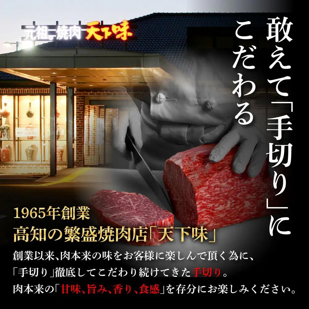 土佐あかうし ＆ 土佐和牛 2種食べ比べ 特選ヒレ肉サイコロステーキ 500g×各2P（田野屋銀象完全天日塩4P付） 高知県土佐市 【株式会社LATERAL】 [BQAU079]