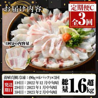 百年漁師の真鯛　お刺身用サク90g×6ｐ　計3回　定期便C_gochi-878